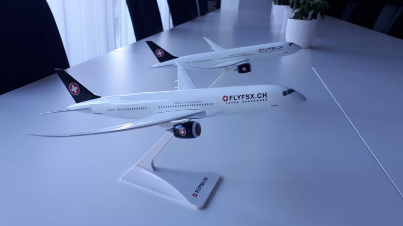 FLYFSX - Flugsimulator - Flight Simulator -  Rüchligweg 55 - 4125 Riehen - Basel - Baden - Aarau - Zürich - Schweiz - Lörrach - Freiburg - Deutschland. 