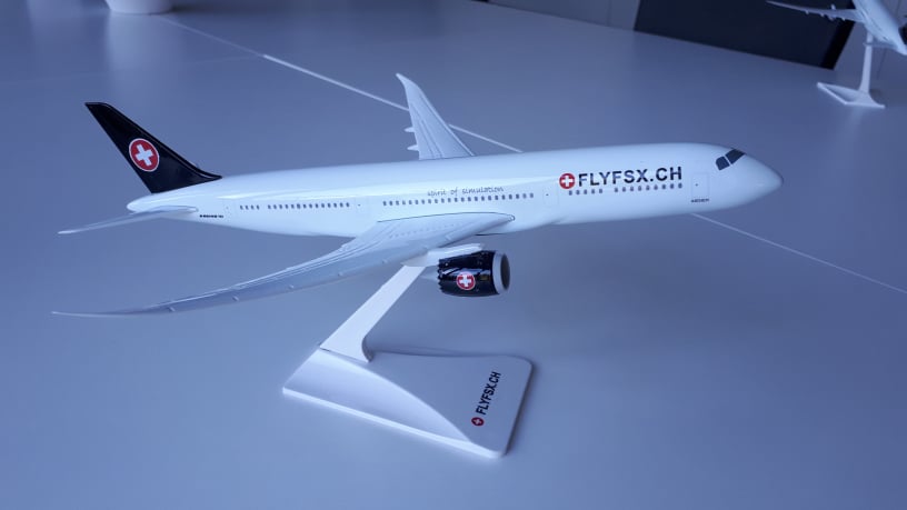 FLYFSX - Flugsimulator - Flight Simulator -  Rüchligweg 55 - 4125 Riehen - Basel - Baden - Aarau - Zürich - Schweiz - Lörrach - Freiburg - Deutschland. 