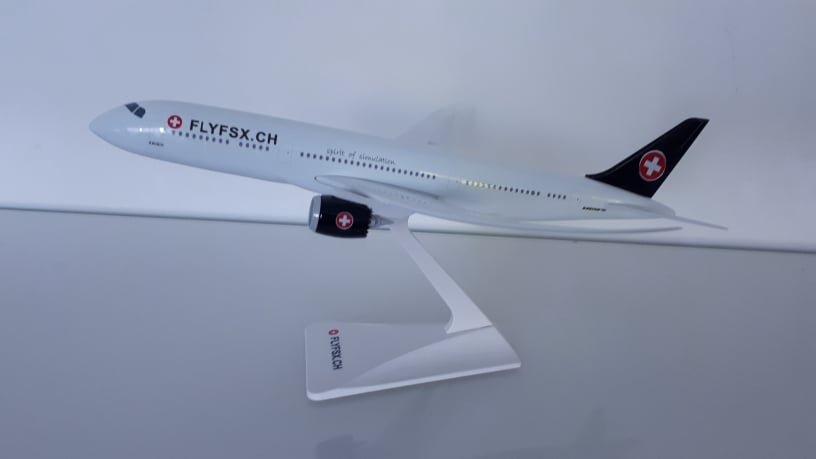 FLYFSX - Flugsimulator - Flight Simulator -  Rüchligweg 55 - 4125 Riehen - Basel - Baden - Aarau - Zürich - Schweiz - Lörrach - Freiburg - Deutschland. 