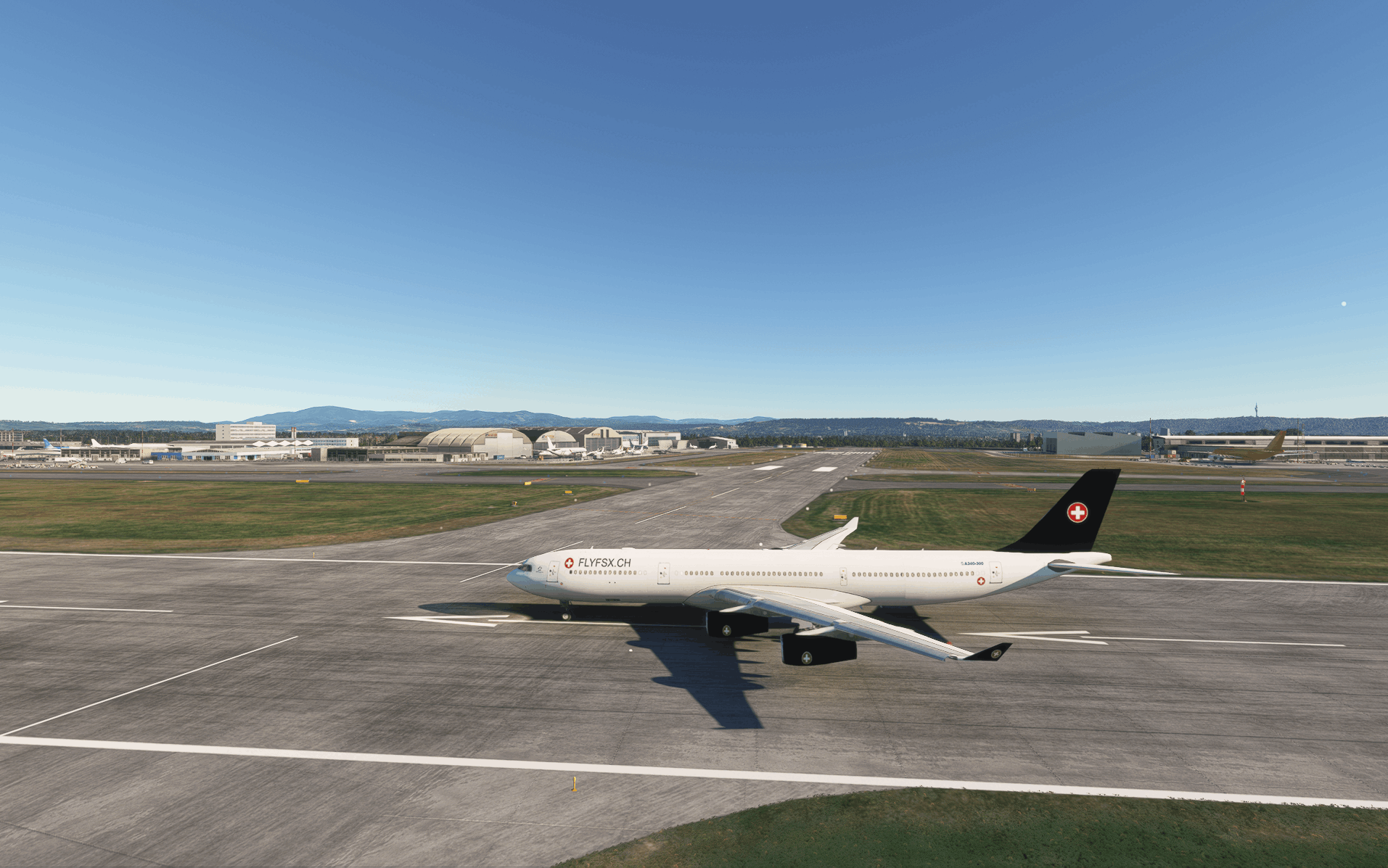 FLYFSX - Flugsimulator - Flight Simulator -  Rüchligweg 55 - 4125 Riehen - Basel - Baden - Aarau - Zürich - Schweiz - Lörrach - Freiburg - Deutschland. 