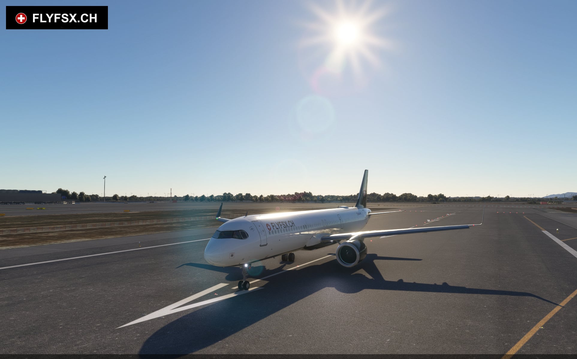 FLYFSX - Flugsimulator - Flight Simulator -  Rüchligweg 55 - 4125 Riehen - Basel - Baden - Aarau - Zürich - Schweiz - Lörrach - Freiburg - Deutschland. 