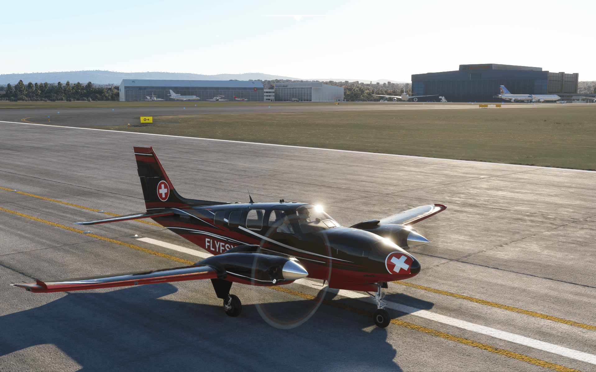 FLYFSX - Flugsimulator - Flight Simulator -  Rüchligweg 55 - 4125 Riehen - Basel - Baden - Aarau - Zürich - Schweiz - Lörrach - Freiburg - Deutschland. 