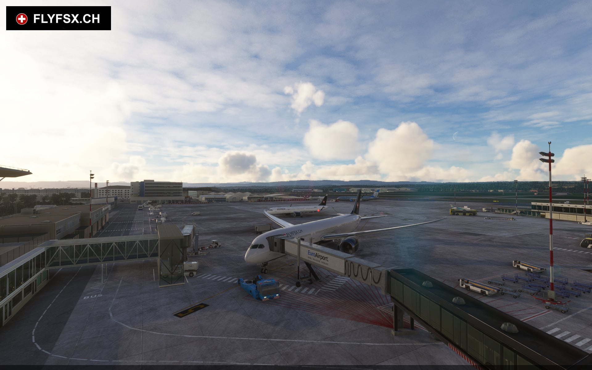 FLYFSX - Flugsimulator - Flight Simulator -  Rüchligweg 55 - 4125 Riehen - Basel - Baden - Aarau - Zürich - Schweiz - Lörrach - Freiburg - Deutschland. 
