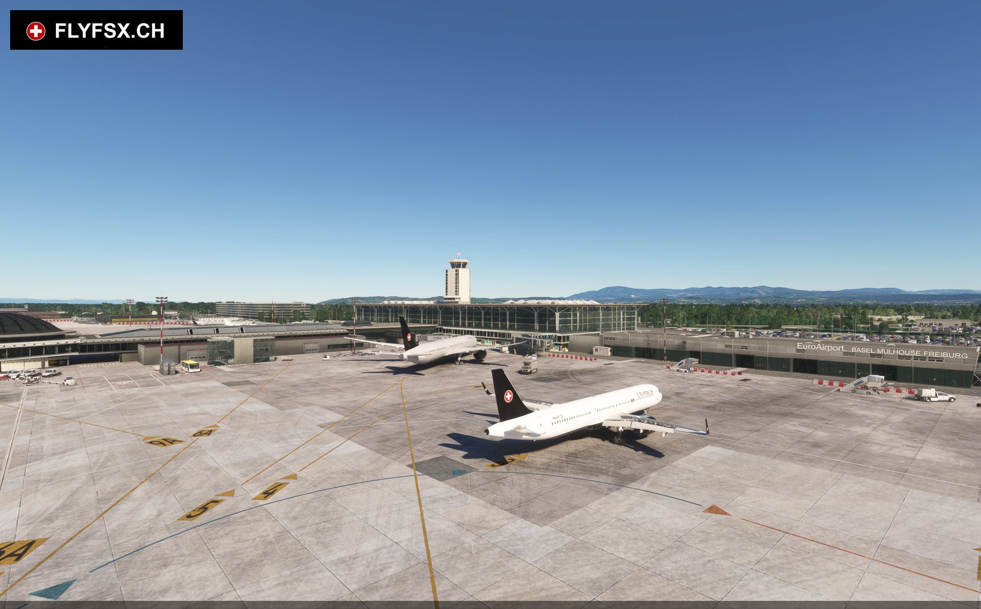 FLYFSX - Flugsimulator - Flight Simulator -  Rüchligweg 55 - 4125 Riehen - Basel - Baden - Aarau - Zürich - Schweiz - Lörrach - Freiburg - Deutschland. 