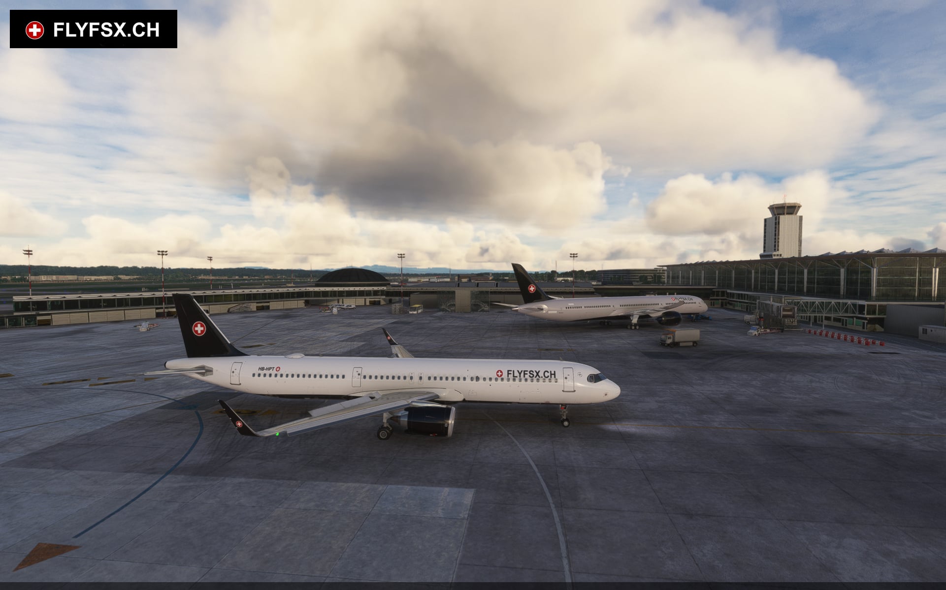 FLYFSX - Flugsimulator - Flight Simulator -  Rüchligweg 55 - 4125 Riehen - Basel - Baden - Aarau - Zürich - Schweiz - Lörrach - Freiburg - Deutschland. 