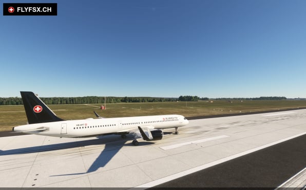 FLYFSX - Flugsimulator - Flight Simulator -  Rüchligweg 55 - 4125 Riehen - Basel - Baden - Aarau - Zürich - Schweiz - Lörrach - Freiburg - Deutschland. 