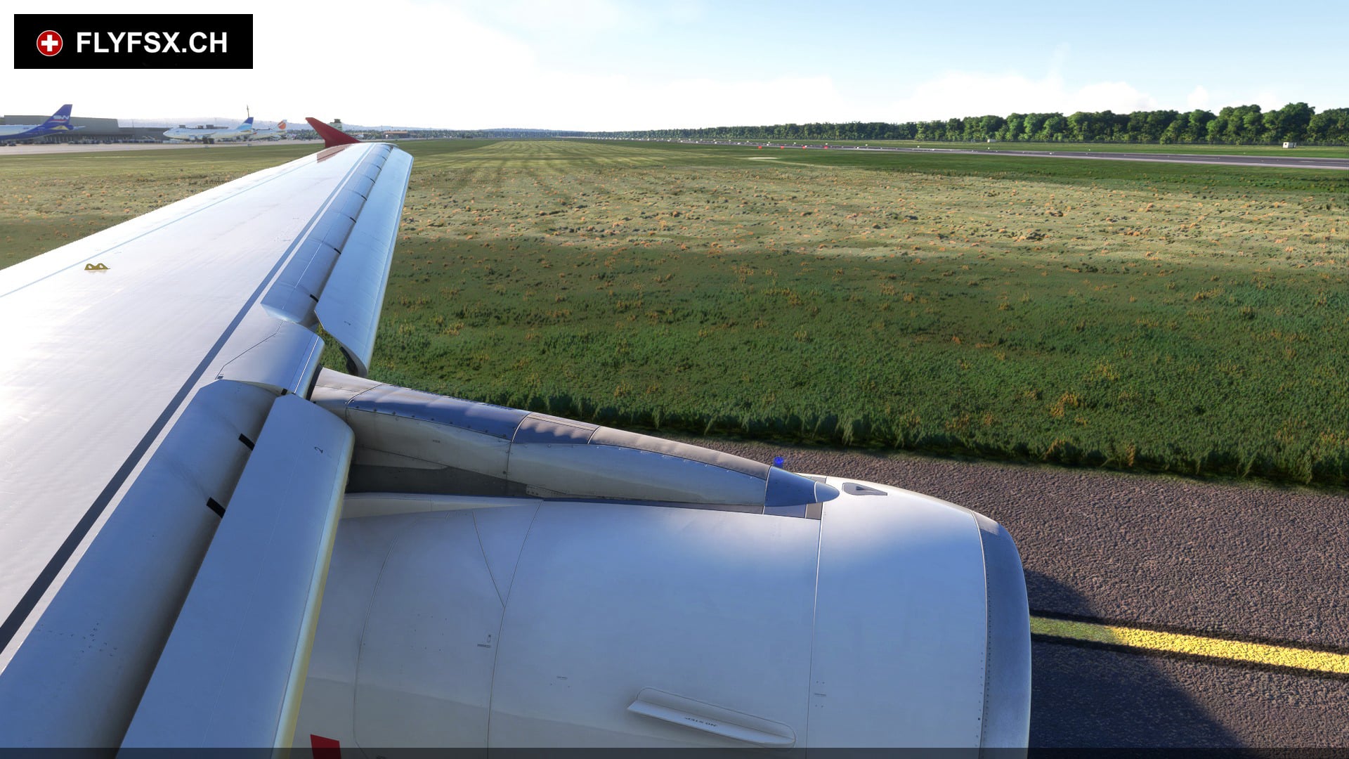 FLYFSX - Flugsimulator - Flight Simulator -  Rüchligweg 55 - 4125 Riehen - Basel - Baden - Aarau - Zürich - Schweiz - Lörrach - Freiburg - Deutschland. 