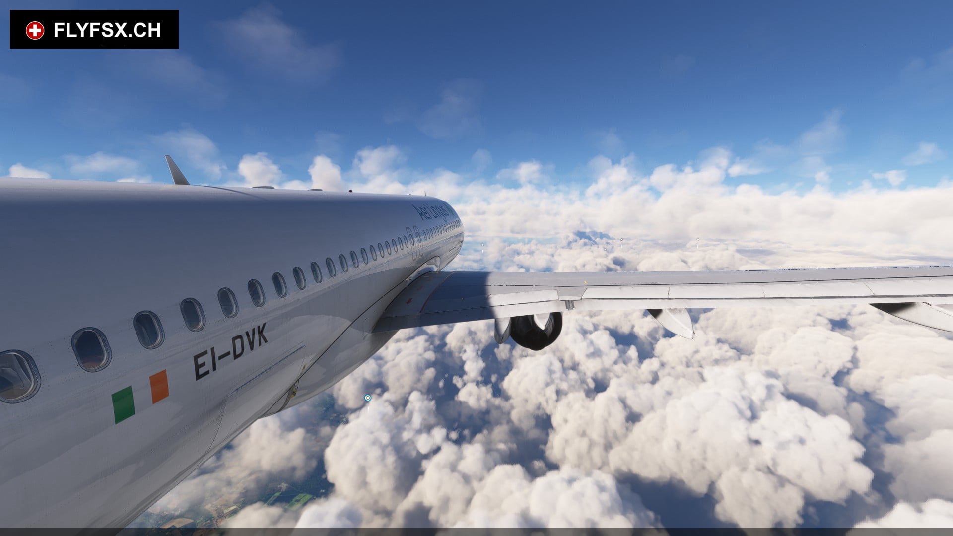 FLYFSX - Flugsimulator - Flight Simulator -  Rüchligweg 55 - 4125 Riehen - Basel - Baden - Aarau - Zürich - Schweiz - Lörrach - Freiburg - Deutschland. 