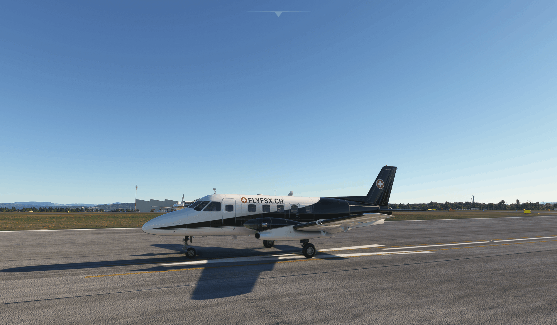 FLYFSX - Flugsimulator - Flight Simulator -  Rüchligweg 55 - 4125 Riehen - Basel - Baden - Aarau - Zürich - Schweiz - Lörrach - Freiburg - Deutschland. 