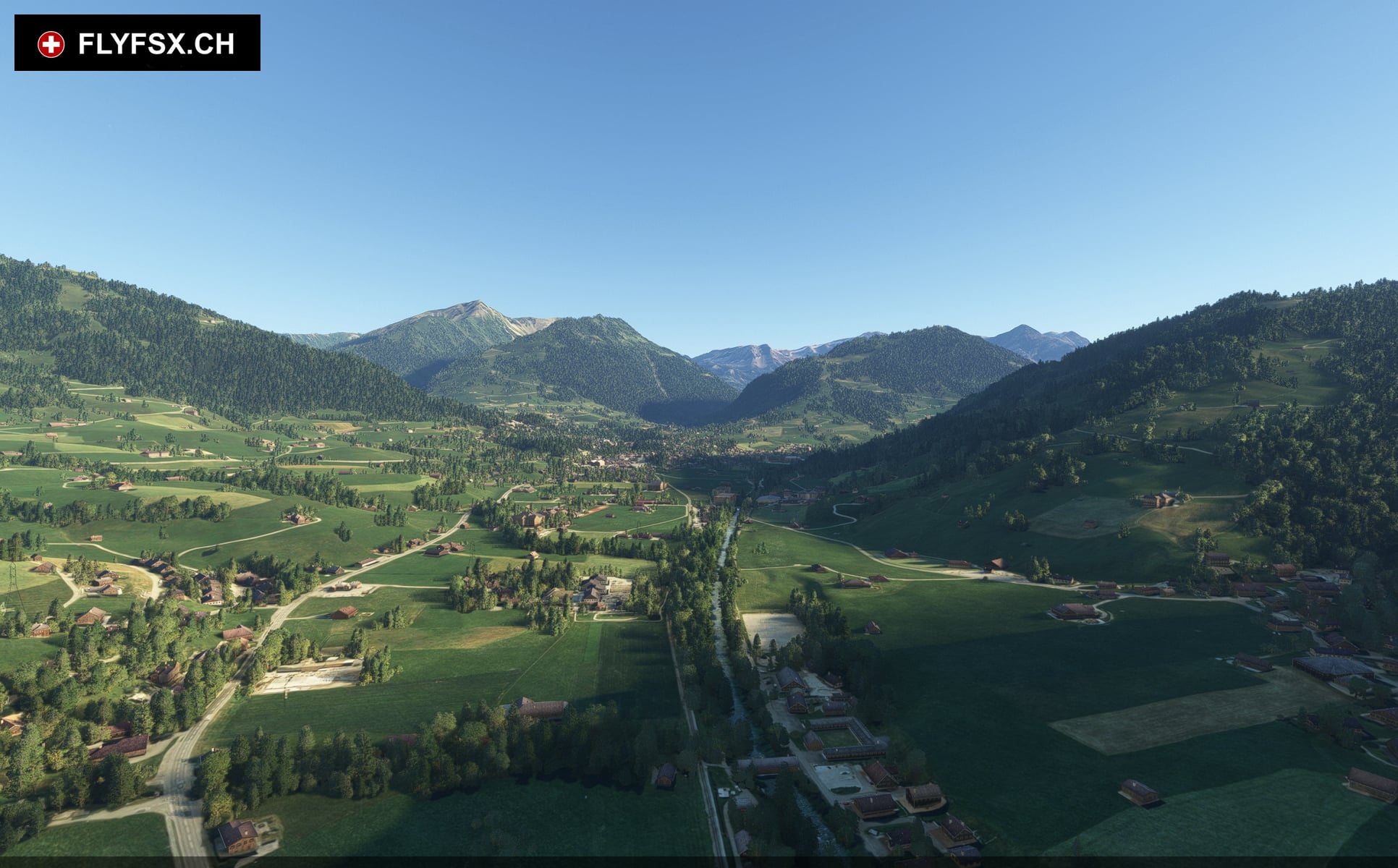 FLYFSX - Flugsimulator - Flight Simulator -  Rüchligweg 55 - 4125 Riehen - Basel - Baden - Aarau - Zürich - Schweiz - Lörrach - Freiburg - Deutschland. 