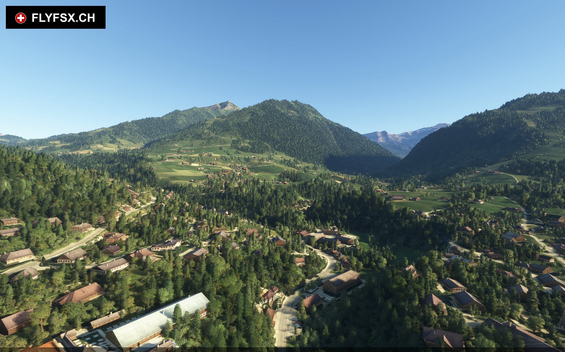 FLYFSX - Flugsimulator - Flight Simulator -  Rüchligweg 55 - 4125 Riehen - Basel - Baden - Aarau - Zürich - Schweiz - Lörrach - Freiburg - Deutschland. 