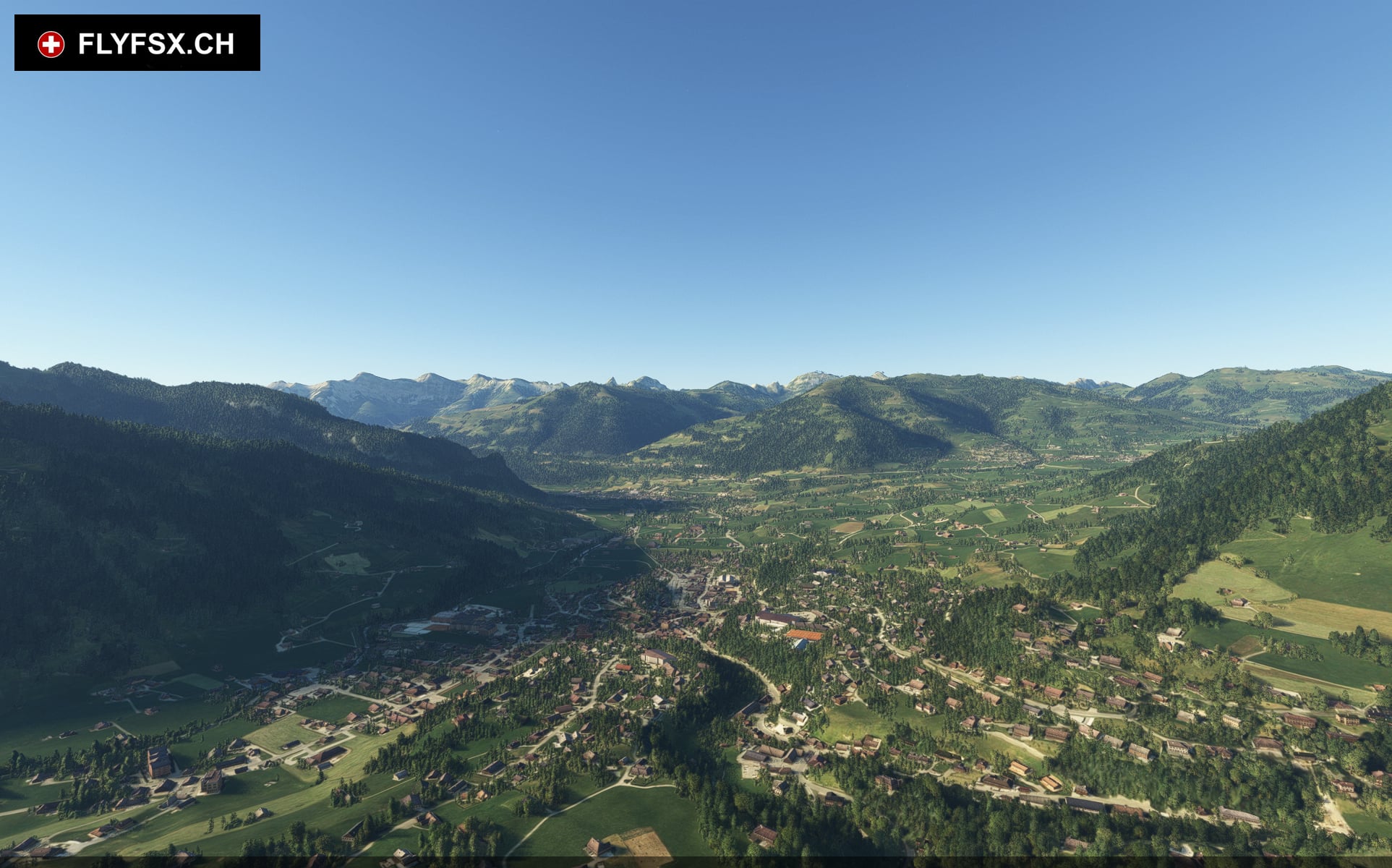 FLYFSX - Flugsimulator - Flight Simulator -  Rüchligweg 55 - 4125 Riehen - Basel - Baden - Aarau - Zürich - Schweiz - Lörrach - Freiburg - Deutschland. 