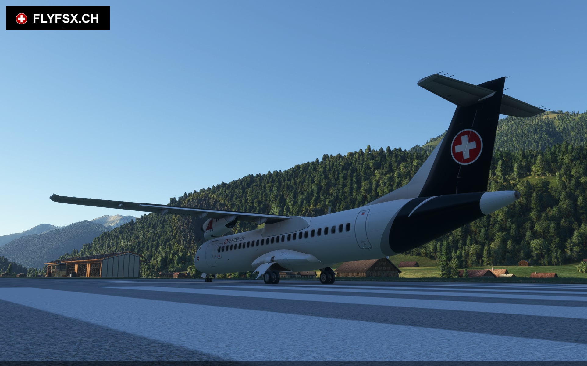 FLYFSX - Flugsimulator - Flight Simulator -  Rüchligweg 55 - 4125 Riehen - Basel - Baden - Aarau - Zürich - Schweiz - Lörrach - Freiburg - Deutschland. 