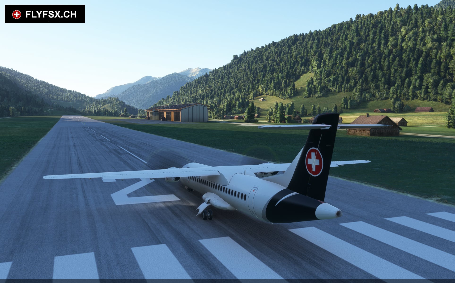 FLYFSX - Flugsimulator - Flight Simulator -  Rüchligweg 55 - 4125 Riehen - Basel - Baden - Aarau - Zürich - Schweiz - Lörrach - Freiburg - Deutschland. 