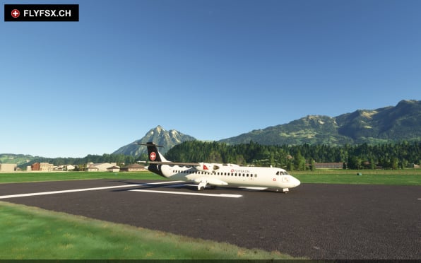 FLYFSX - Flugsimulator - Flight Simulator -  Rüchligweg 55 - 4125 Riehen - Basel - Baden - Aarau - Zürich - Schweiz - Lörrach - Freiburg - Deutschland. 