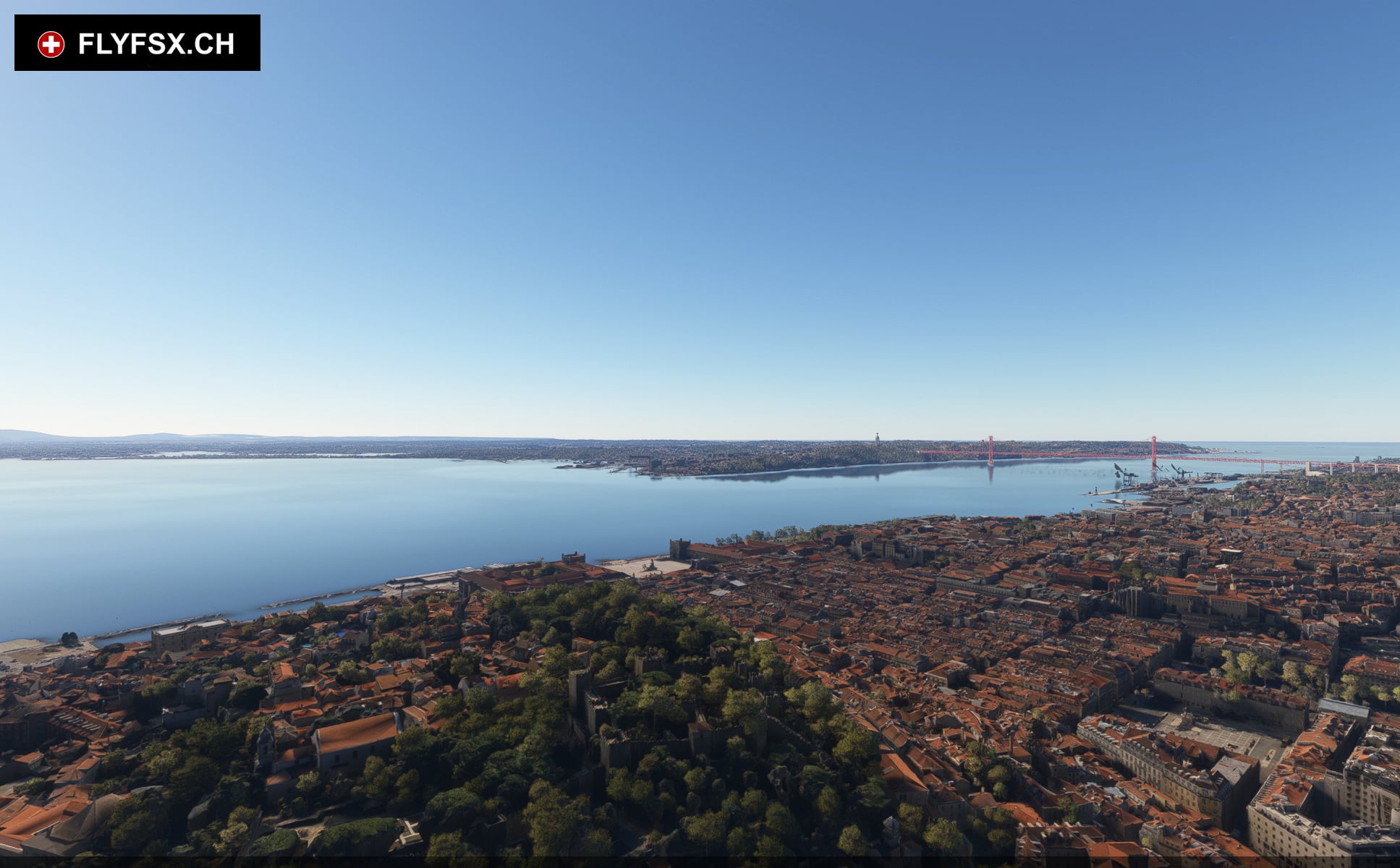 FLYFSX - Flugsimulator - Flight Simulator -  Rüchligweg 55 - 4125 Riehen - Basel - Baden - Aarau - Zürich - Schweiz - Lörrach - Freiburg - Deutschland. 