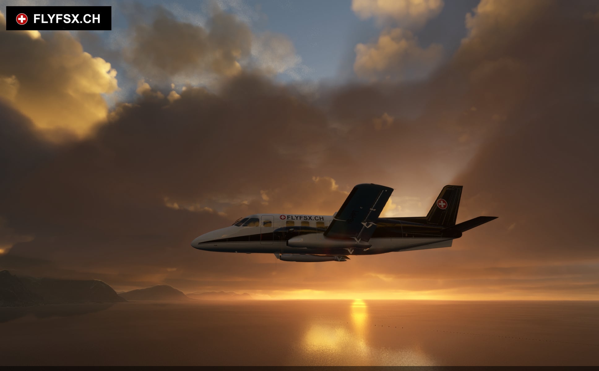 FLYFSX - Flugsimulator - Flight Simulator -  Rüchligweg 55 - 4125 Riehen - Basel - Baden - Aarau - Zürich - Schweiz - Lörrach - Freiburg - Deutschland. 