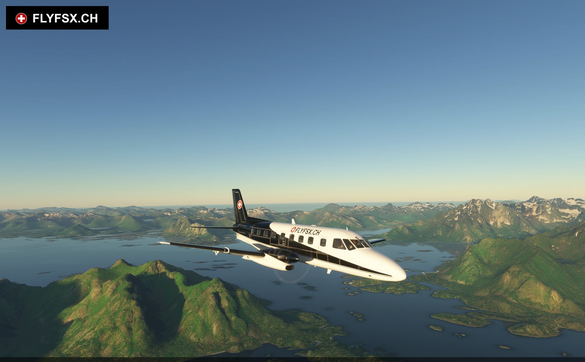 FLYFSX - Flugsimulator - Flight Simulator -  Rüchligweg 55 - 4125 Riehen - Basel - Baden - Aarau - Zürich - Schweiz - Lörrach - Freiburg - Deutschland. 