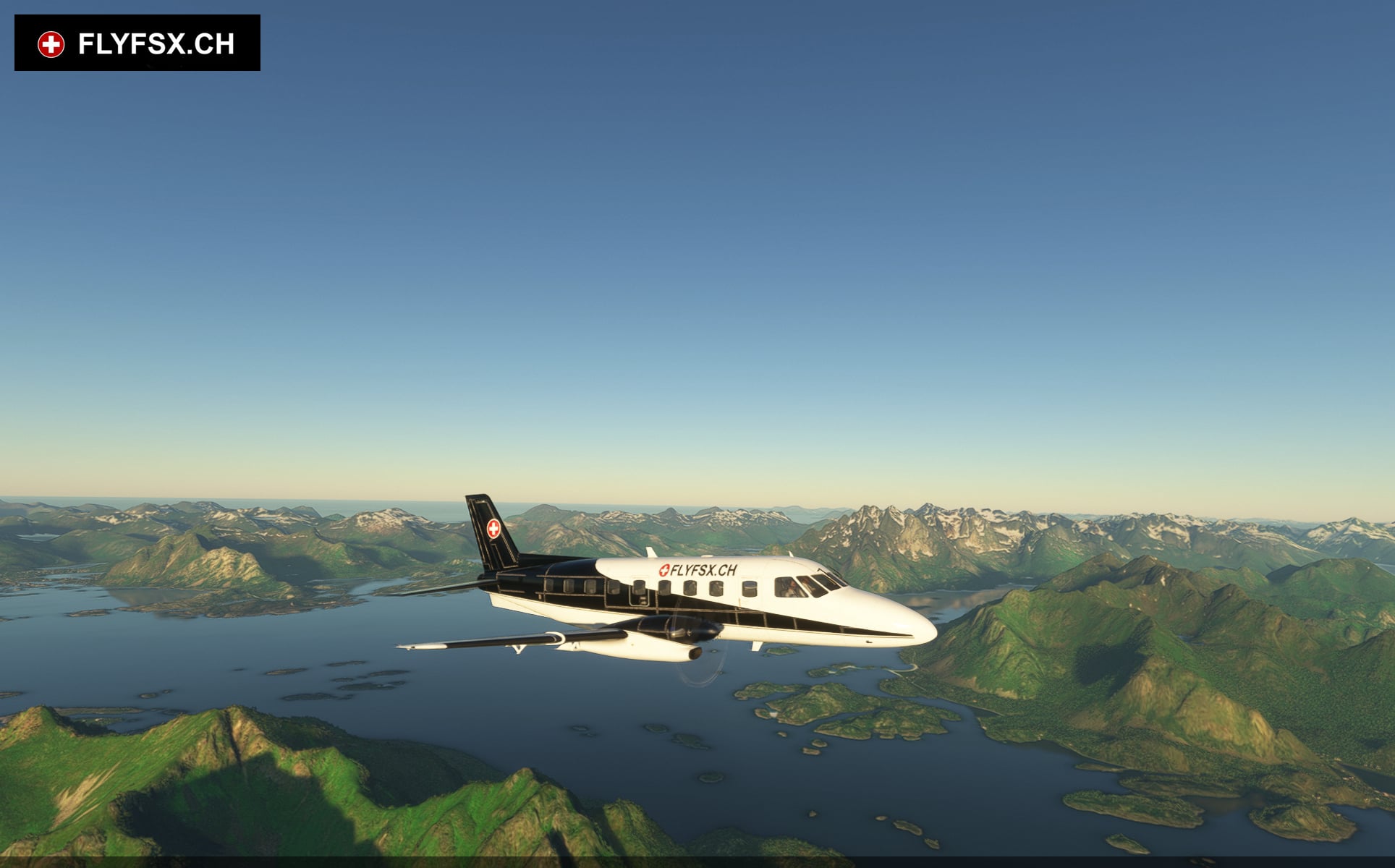FLYFSX - Flugsimulator - Flight Simulator -  Rüchligweg 55 - 4125 Riehen - Basel - Baden - Aarau - Zürich - Schweiz - Lörrach - Freiburg - Deutschland. 
