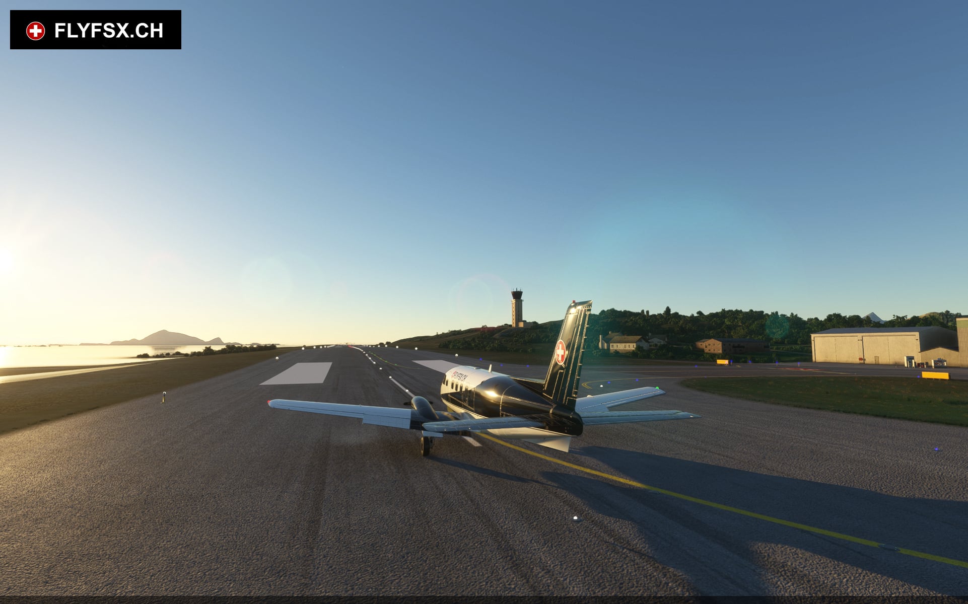 FLYFSX - Flugsimulator - Flight Simulator -  Rüchligweg 55 - 4125 Riehen - Basel - Baden - Aarau - Zürich - Schweiz - Lörrach - Freiburg - Deutschland. 