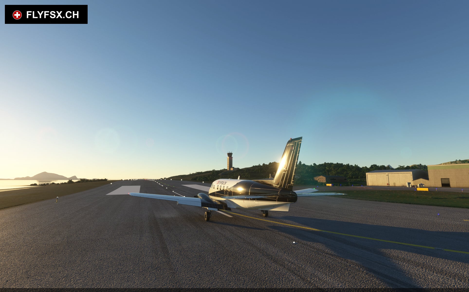 FLYFSX - Flugsimulator - Flight Simulator -  Rüchligweg 55 - 4125 Riehen - Basel - Baden - Aarau - Zürich - Schweiz - Lörrach - Freiburg - Deutschland. 