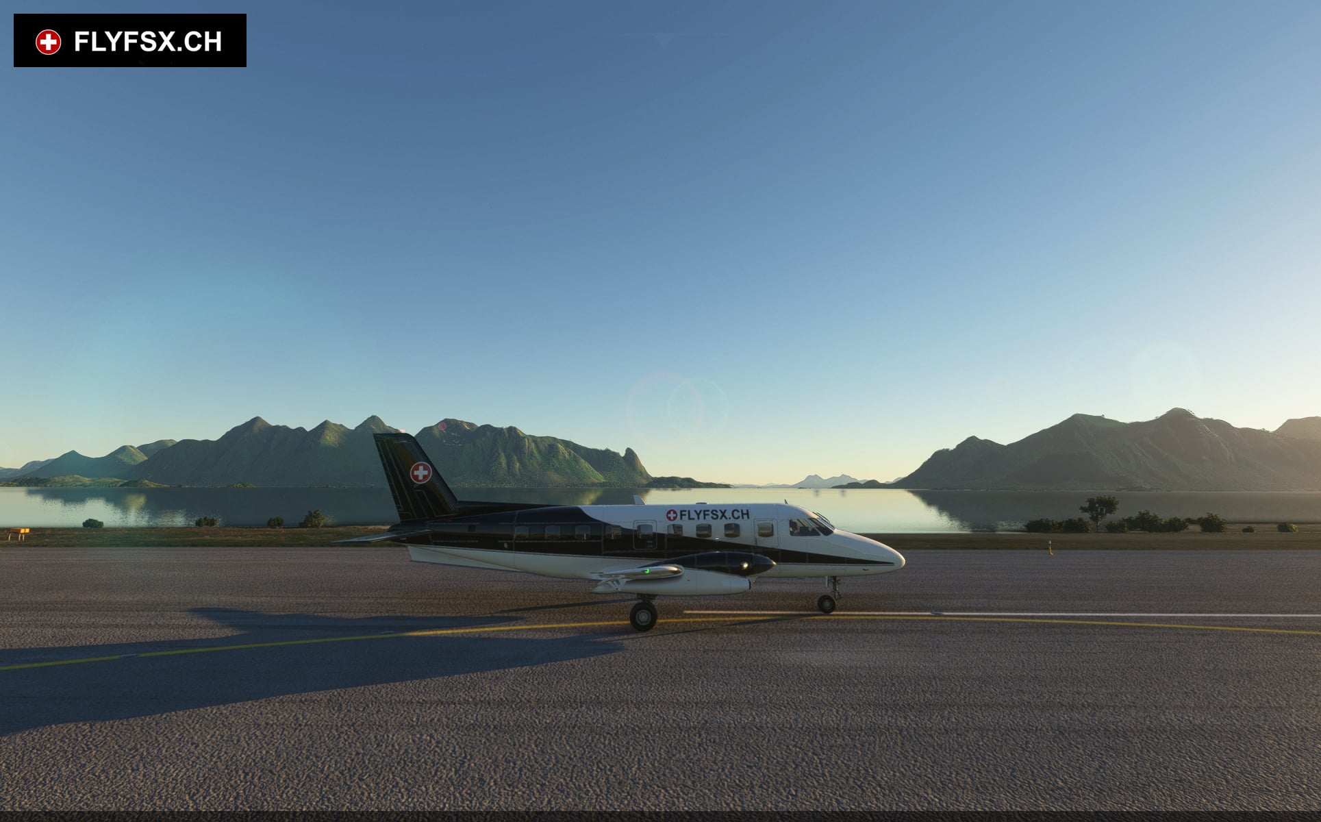 FLYFSX - Flugsimulator - Flight Simulator -  Rüchligweg 55 - 4125 Riehen - Basel - Baden - Aarau - Zürich - Schweiz - Lörrach - Freiburg - Deutschland. 