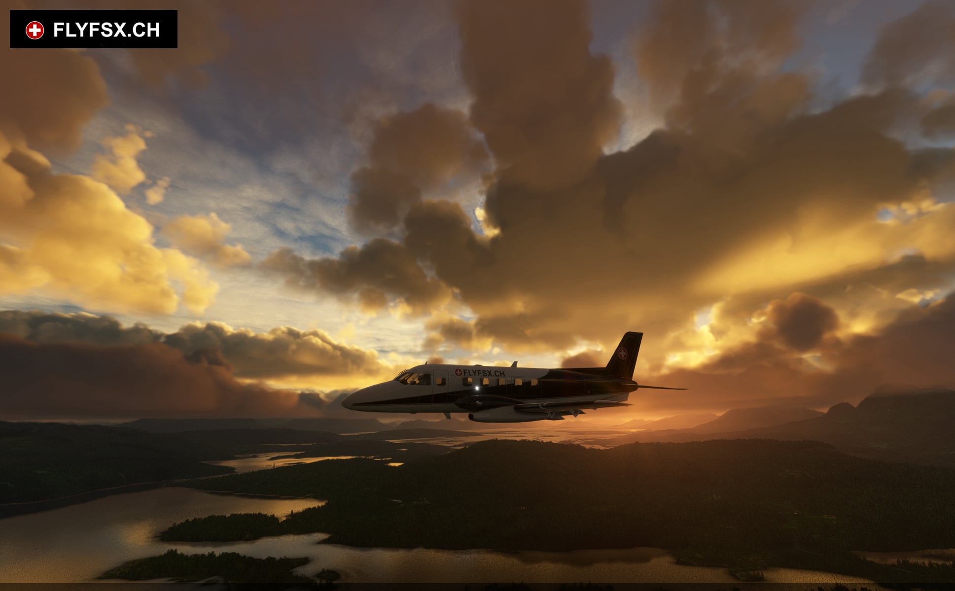 FLYFSX - Flugsimulator - Flight Simulator -  Rüchligweg 55 - 4125 Riehen - Basel - Baden - Aarau - Zürich - Schweiz - Lörrach - Freiburg - Deutschland. 