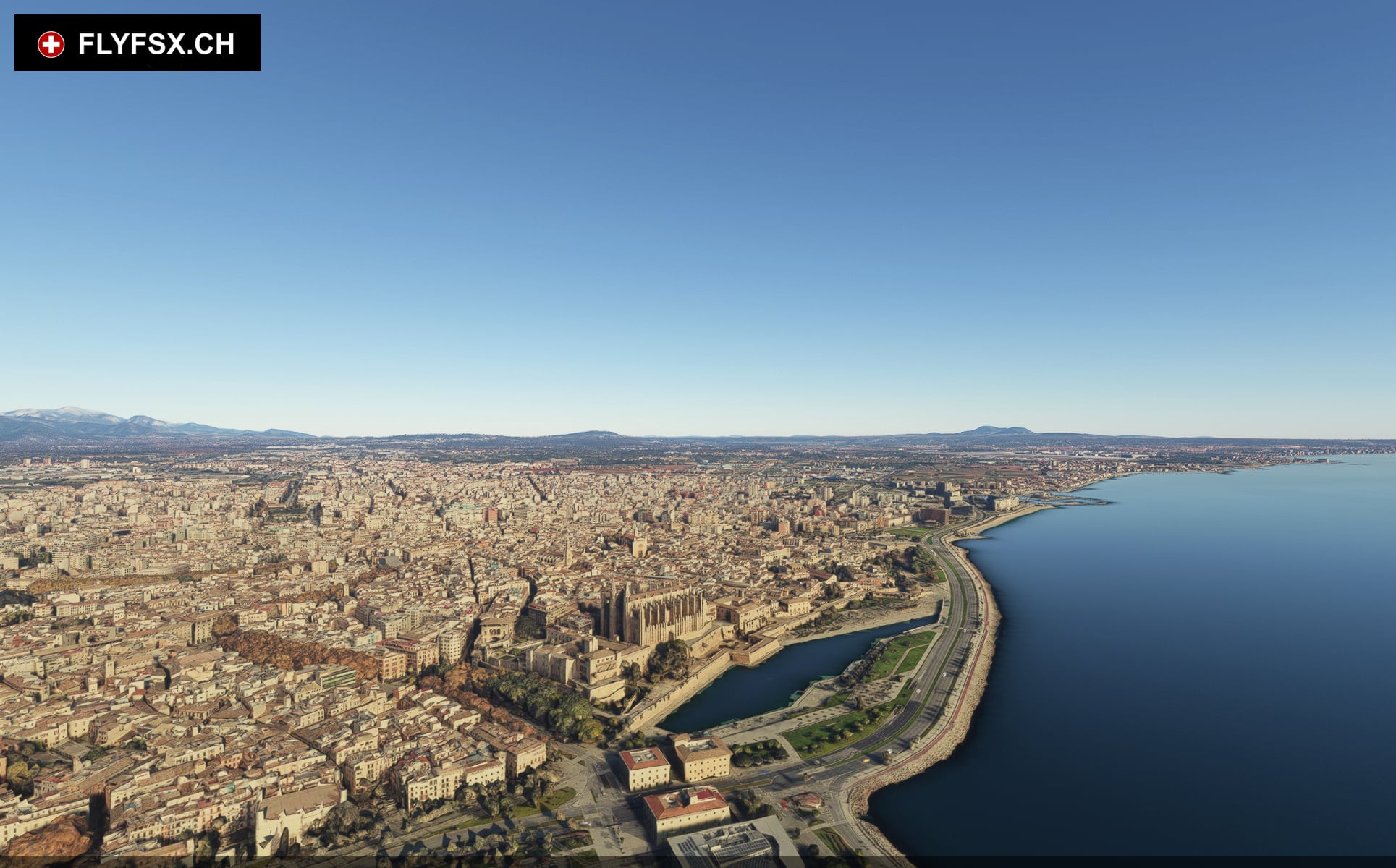 FLYFSX - Flugsimulator - Flight Simulator -  Rüchligweg 55 - 4125 Riehen - Basel - Baden - Aarau - Zürich - Schweiz - Lörrach - Freiburg - Deutschland. 