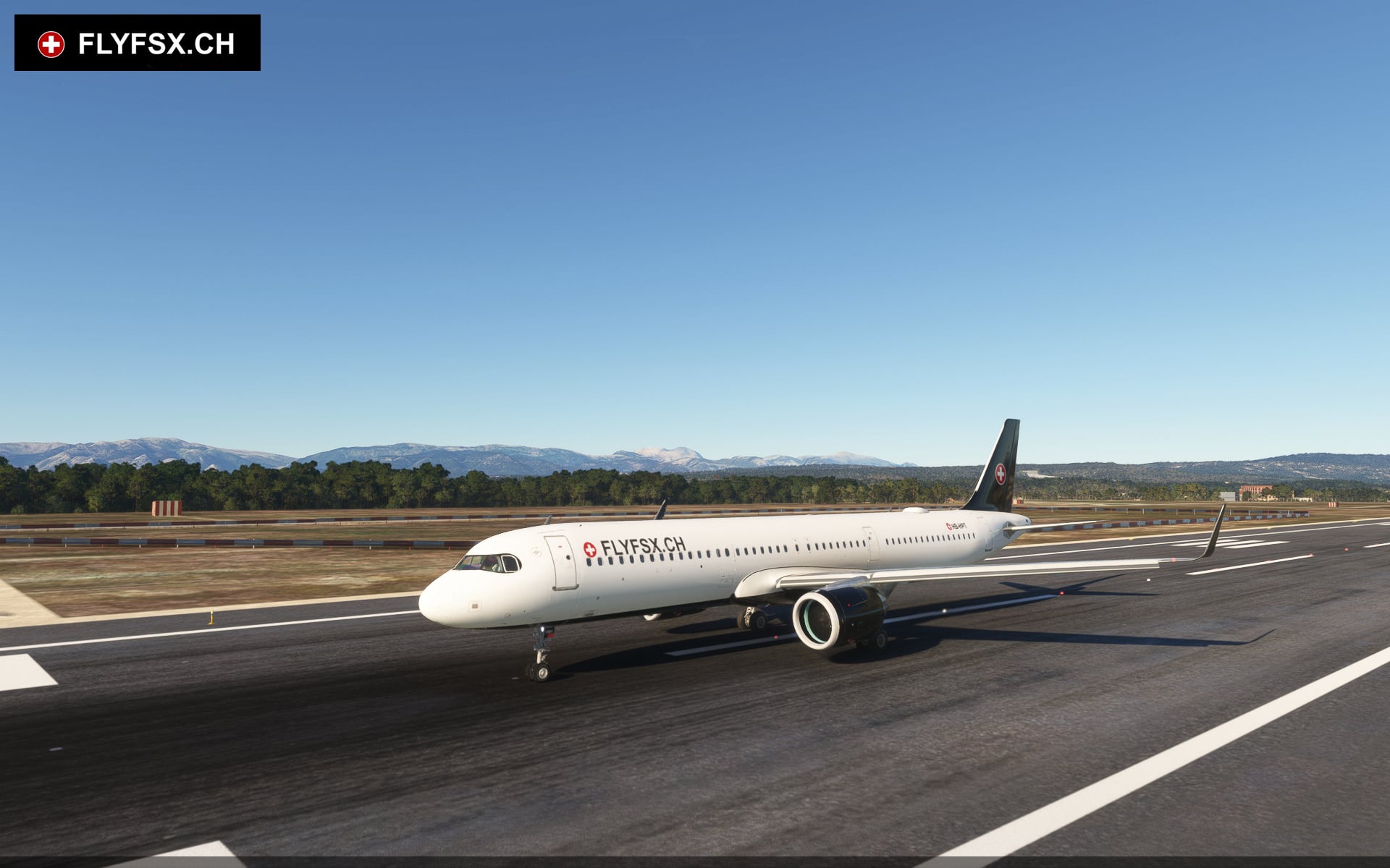 FLYFSX - Flugsimulator - Flight Simulator -  Rüchligweg 55 - 4125 Riehen - Basel - Baden - Aarau - Zürich - Schweiz - Lörrach - Freiburg - Deutschland. 