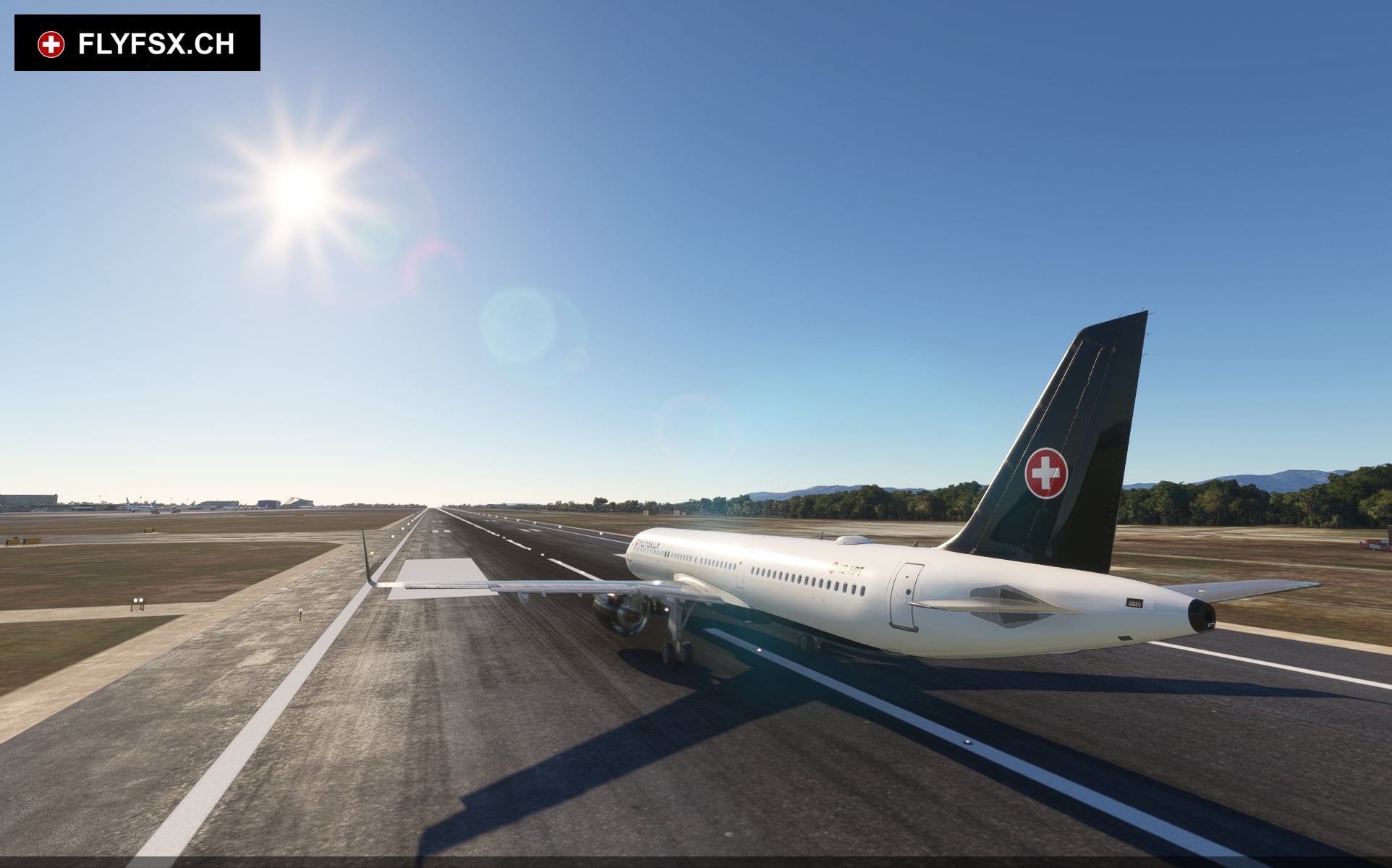 FLYFSX - Flugsimulator - Flight Simulator -  Rüchligweg 55 - 4125 Riehen - Basel - Baden - Aarau - Zürich - Schweiz - Lörrach - Freiburg - Deutschland. 