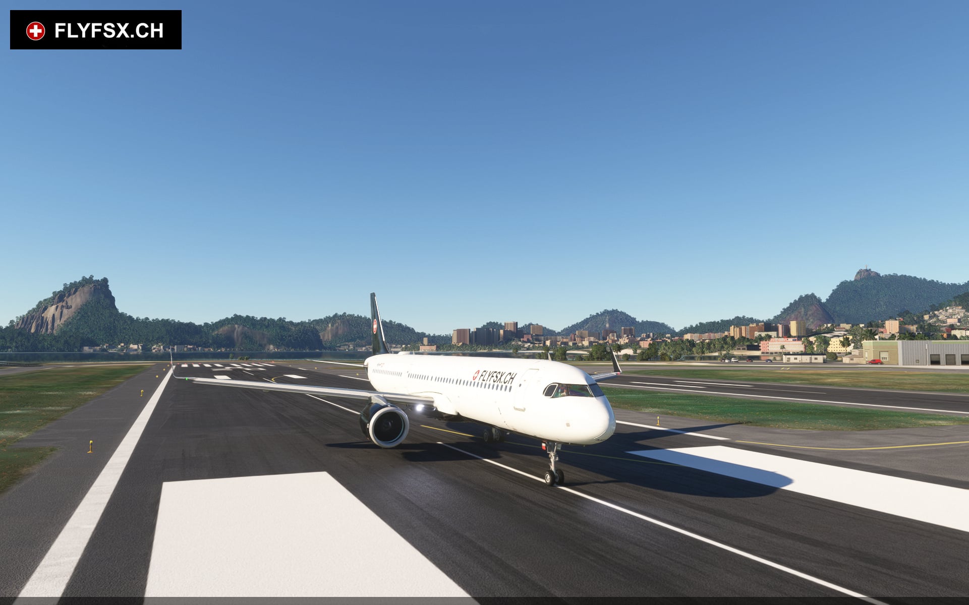 FLYFSX - Flugsimulator - Flight Simulator -  Rüchligweg 55 - 4125 Riehen - Basel - Baden - Aarau - Zürich - Schweiz - Lörrach - Freiburg - Deutschland. 