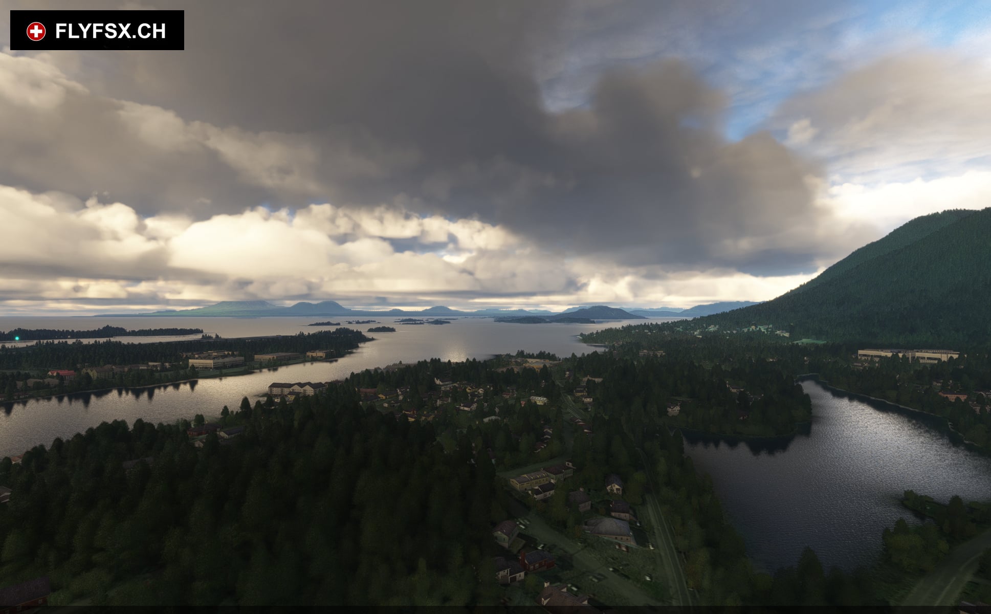 FLYFSX - Flugsimulator - Flight Simulator -  Rüchligweg 55 - 4125 Riehen - Basel - Baden - Aarau - Zürich - Schweiz - Lörrach - Freiburg - Deutschland. 