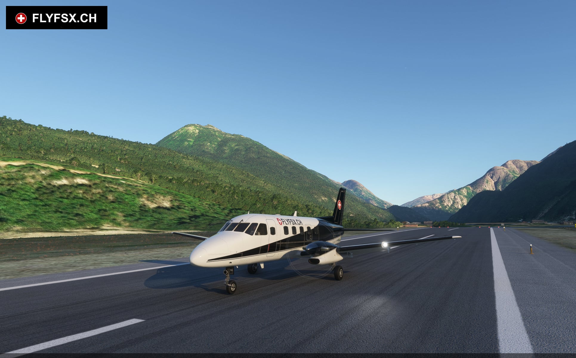 FLYFSX - Flugsimulator - Flight Simulator -  Rüchligweg 55 - 4125 Riehen - Basel - Baden - Aarau - Zürich - Schweiz - Lörrach - Freiburg - Deutschland. 